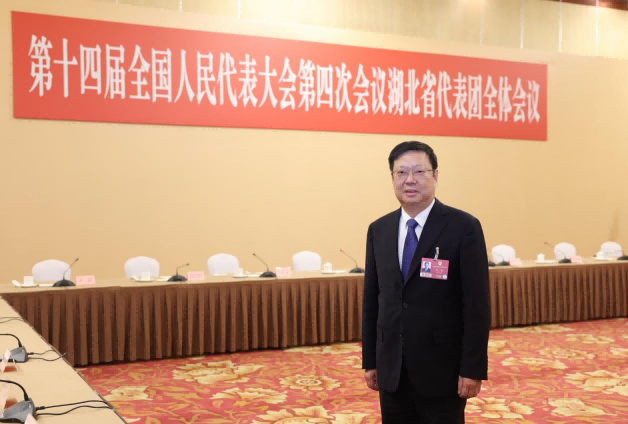 全国人大代表杨军：发挥“近邻”优势,在光电子信息产业群中找准“咸宁坐标”